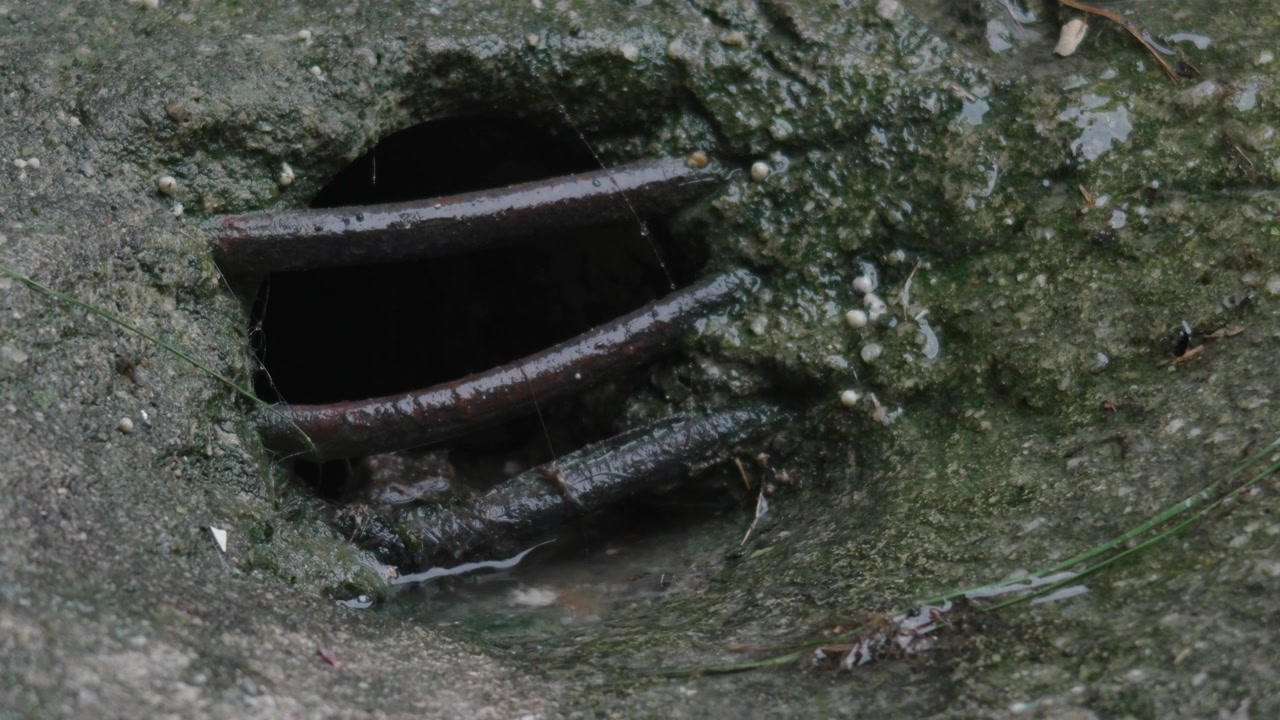 Eau de pluie s'écoulant dans un trou de drainage lors de fortes précipitations.