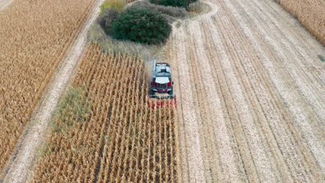 aerial view of combine harvesting corn in golden fields