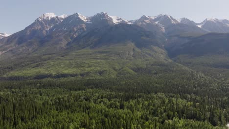 drone pulling back from tall snowy mountains and cloudy sky and tilting downward showing vast pine forest wilderness near yoho and banff national park in cananda