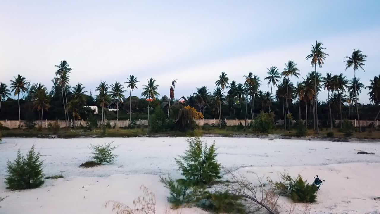 Fantastic fly forwards slowly rise up drone shot at the beach to palm trees Paradise film shot on zanzibar at africa tanzania in 2019 Cinematic wild nature aerial filmed in 1080, 60 by Philipp Marnitz