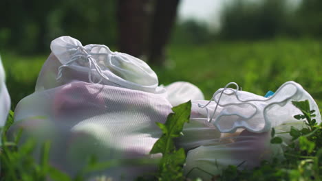 a reusable bag filled with apples is dropped next to a pile of other reusable bags in the grass