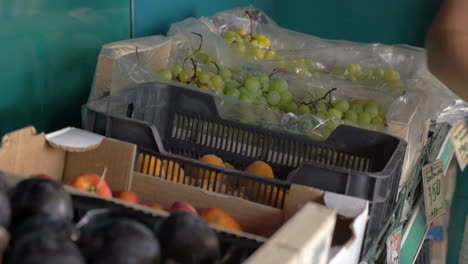 Choosing-Apricots-in-the-Shop