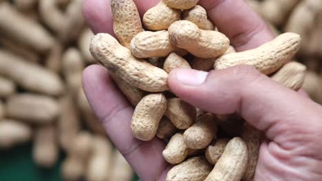 handful of peanuts