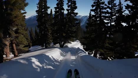 skiing in a snowy mountain valley