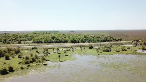 vista aérea del humedal al borde de la carretera