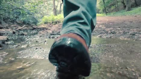 Cerca-De-Un-Hombre-Con-Zapatos-Para-Caminatas-Caminando-Por-El-Bosque-Sobre-Una-Superficie-Húmeda