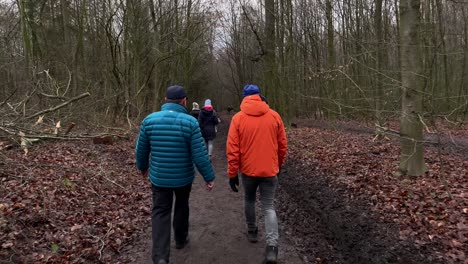 Toma-De-Seguimiento-De-Dos-Hombres-Caminando-En-El-Bosque-Del-Parque-De-Otoño-Durante-El-Día