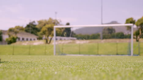 jugador de fútbol marcando un gol