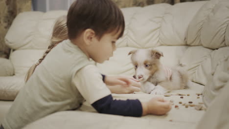 child playing with a puppy on the sofa in the living room