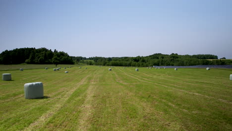 agricultural field after harvesting crops with hay bales wrapped in white plastic bags -aerial