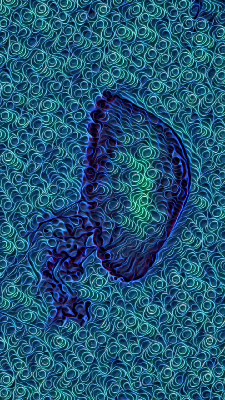 Animazione verticale di meduse che nuotano su uno sfondo a spirale blu per storie sui social media