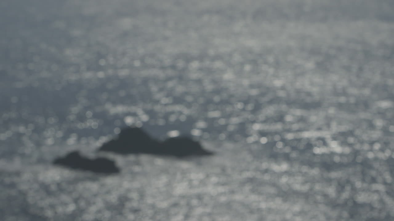 반짝이는 바다 초점 풀의 멋진 샷