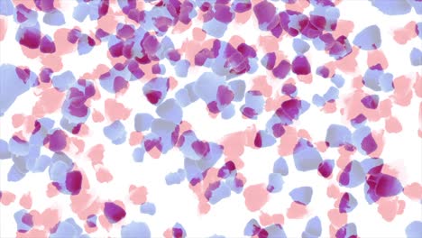 fondo de pétalos de rosa abstractos