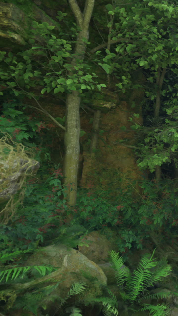 Scena di sottobosco con alberi e piante in un ambiente naturale