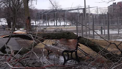 Umgestürzter-Baum-Ruht-Im-Winter-über-Einer-Bank-Im-Park