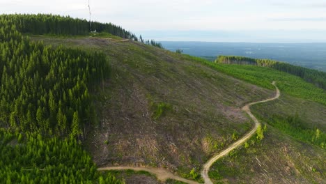 Tala-De-Bosques,-árboles-Talados-Desde-La-Ladera-En-La-Isla-De-Vancouver,-Columbia-Británica