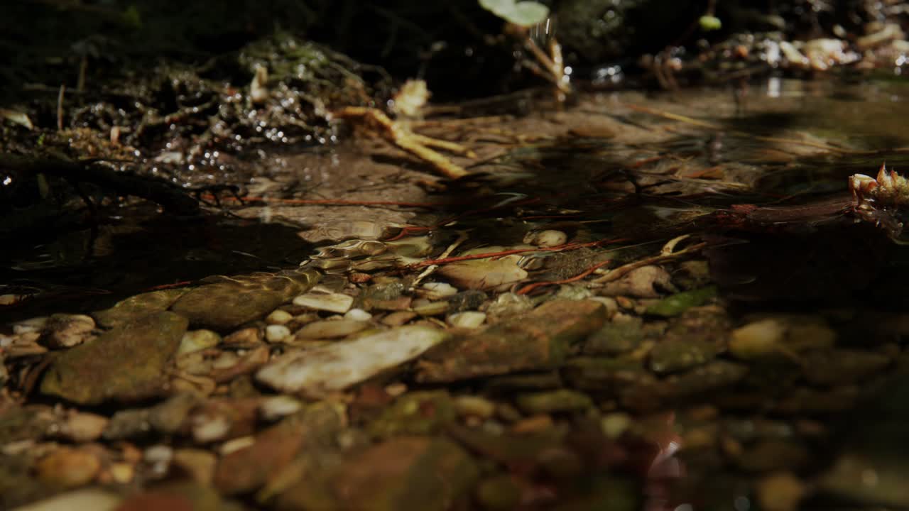 Hand picking up a small stone from small creek close up