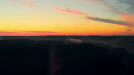 wonderful aerial shot of vast forest landscape at sunset, sustainability concept