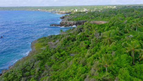 在多米尼加共和國的博卡·德·尤馬 (boca de yuma) 的崎<unk>綠色懸崖上空