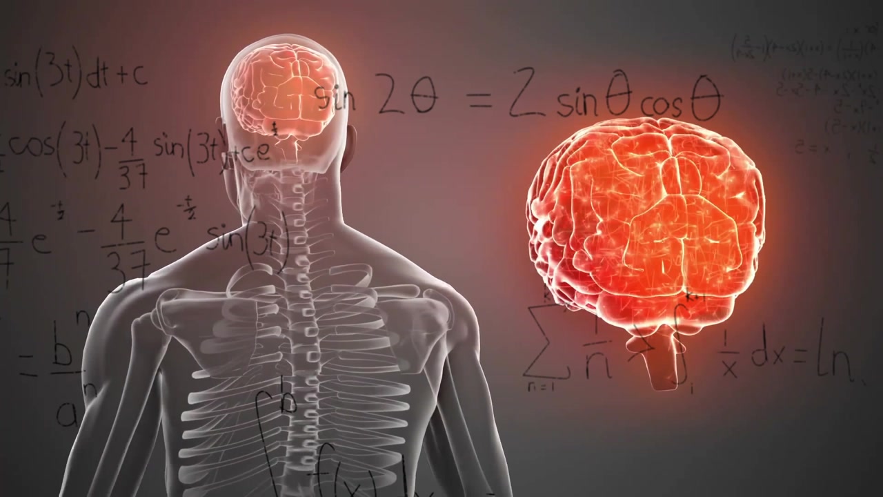 Starting skeleton and brain showing formulas rotating drawing graph and illustrating progression