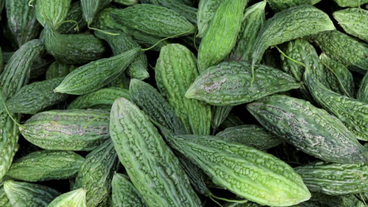 guardia amarga orgánica fresca de la granja cerca desde un ángulo diferente