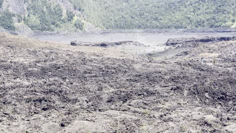 Lente-Larga-Cinematográfica-En-Auge-De-Una-Planta-Volcánica-En-Flor-En-El-Desolado-Paisaje-Del-Lecho-Del-Lago-De-Lava-Seca-Kilauea-Iki-En-El-Parque-Nacional-De-Los-Volcanes-De-Hawaii