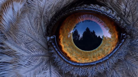 close-up of an owl's eye reflecting a forest silhouette
