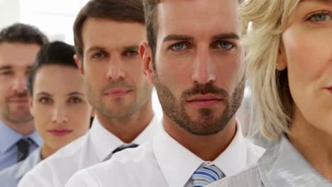 business team standing in a line looking at camera