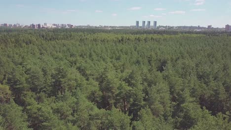 forest and cityscape aerial view