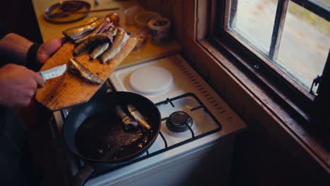 a person is carefully placing freshly caught fish in a frying pan in a cozy kitchen by the window at reinsjøen, åfjord, trøndelag, norway - high angle shot