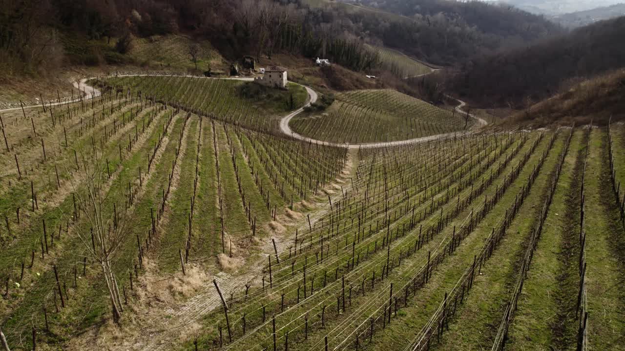 Vista paesaggistica aerea sui filari di vigneti nelle colline del Prosecco, Italia, in una giornata invernale.
