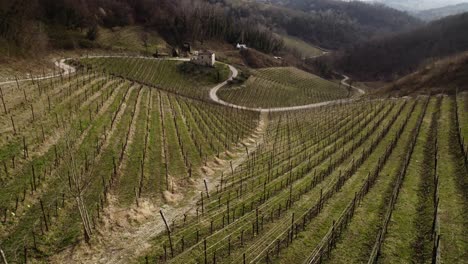 Aerial-landscape-view-over-vineyard-rows-in-the-prosecco-hills,-Italy,-on-a-winter-day