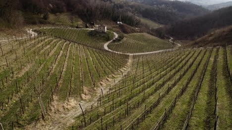 Vista-Aérea-Del-Paisaje-Sobre-Hileras-De-Viñedos-En-Las-Colinas-De-Prosecco,-Italia,-En-Un-Día-De-Invierno