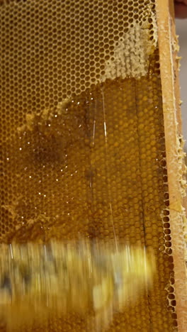 cutting the tops on the wax cells. uncovering the honeycombs for easier honey extraction at centrifuge machine. low angle view. vertical video
