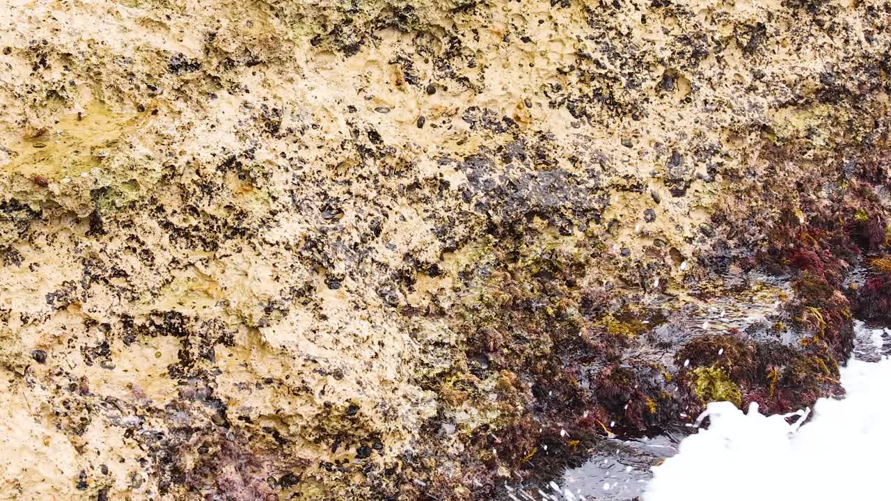 Dynamic ocean waves crash against rugged rocks, showcasing nature's power. Bright lighting highlights the textured coastline