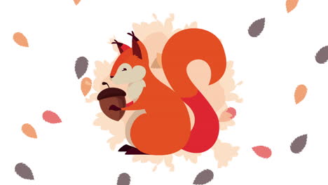 cute squirrel with acorn in autumnal scene