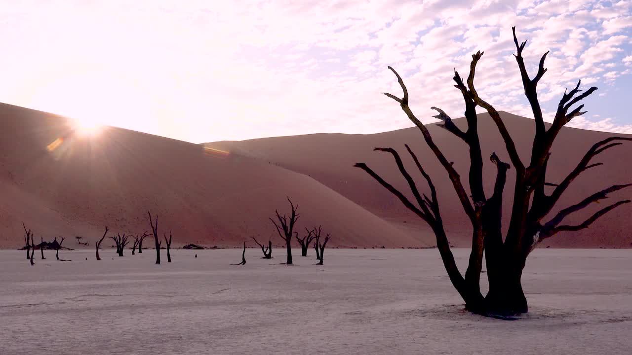 siluetas de árboles muertos al amanecer en deadvlei y sossusvlei en namib parque nacional naukluft desierto de namib namibia 7
