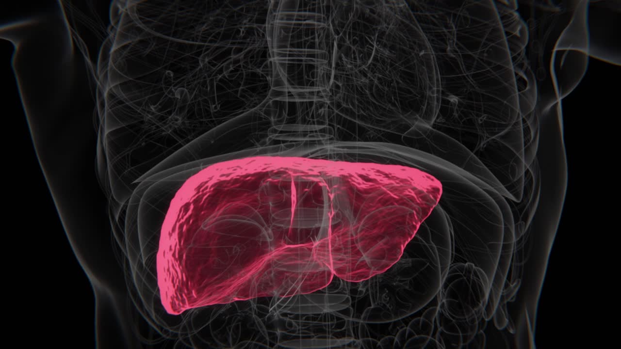 Fatty Liver in HD Video | Fatty Liver Disease (NAFLD) Indication in HD Video