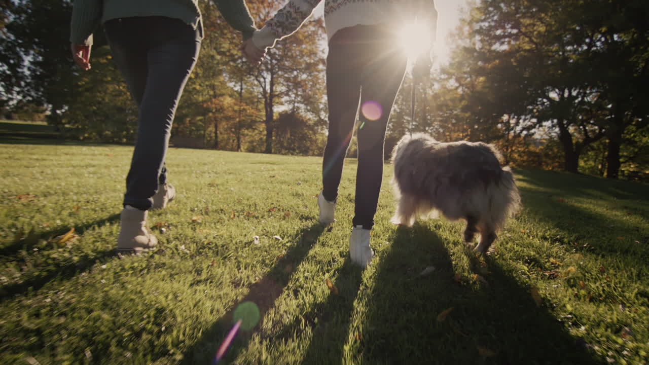 madre con hija y perro caminando en el parque al atardecer