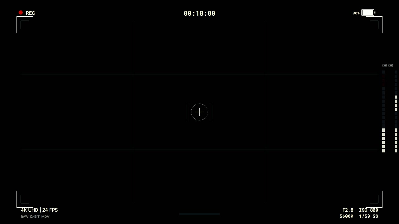 Digital Camera Viewfinder Overlay with Recording Interface