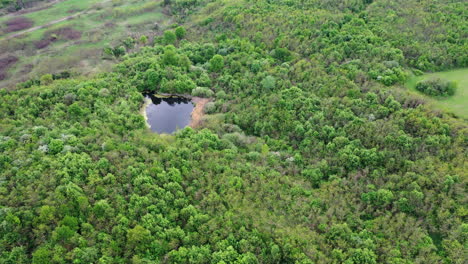 small lake in the middle of a forest