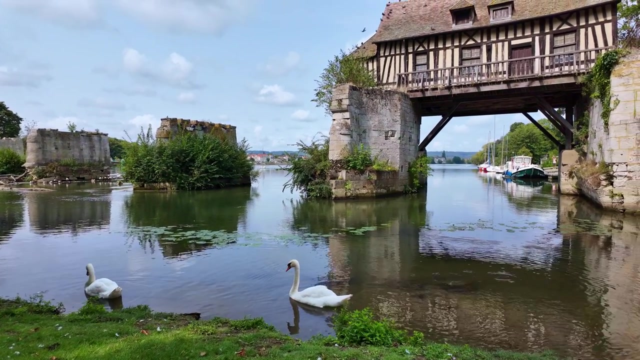 Movimento panoramico verso il vecchio mulino e il suo ambiente pacifico con cigni accanto, Vernon, Francia.