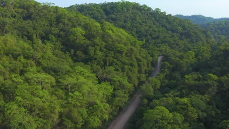 antena: camino en un valle forestal, copas de los árboles sobre las colinas, avance hacia la derecha