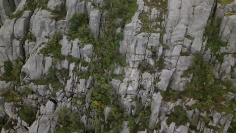 a-gigantic-rock-face-is-overgrown-with-some-trees,-norway,-drone,-europe