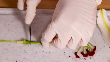 preparing a lily for arrangement