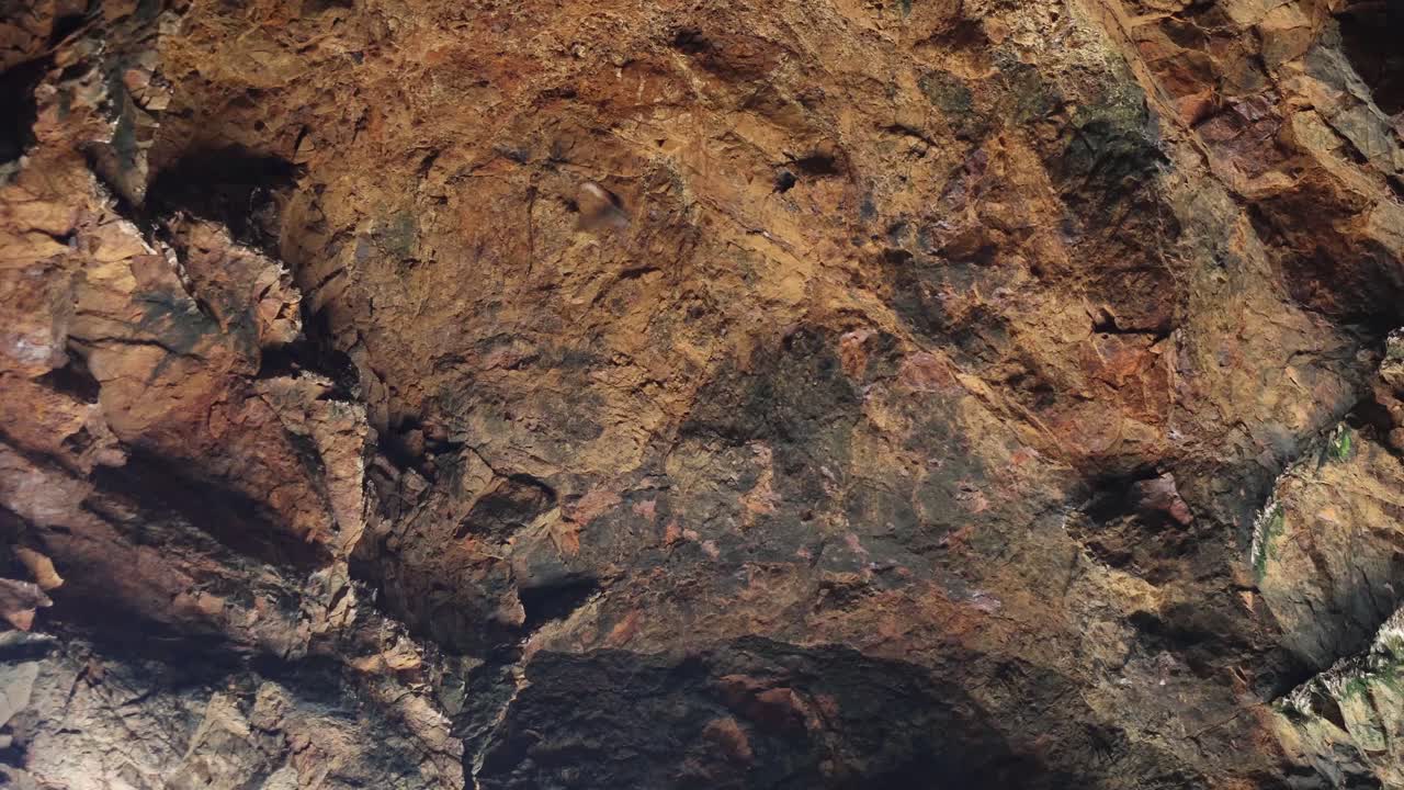 un primer plano en cámara lenta de golondrinas costeras volando sobre el techo de una cueva en el sur de australia