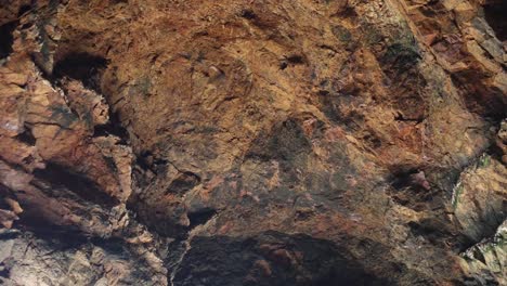 A-slow-motion-close-up-shot-of-coastal-swallows-flying-up-onto-a-cave-roof-in-Southern-Australia