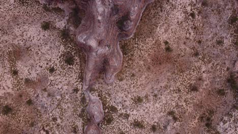 The Purnululu-National-Park is-a World-Heritage-Site in Western-Australia