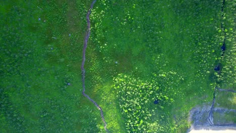 birds eye view of a green colorful trail towards the mountain peak hesten in the village of fjordgard on senja island