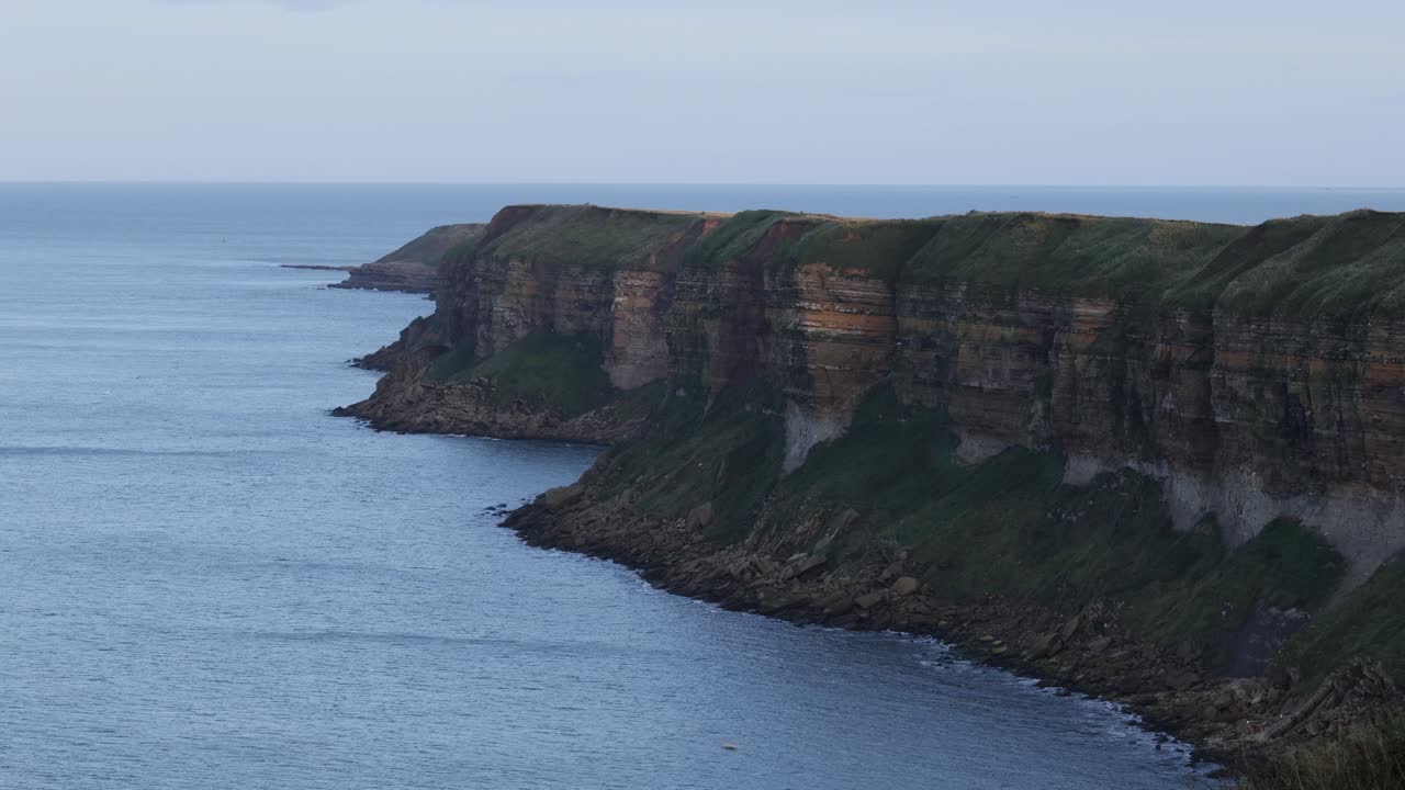 disparo estático de aves volando hacia la costa desde un acantilado para anidar en el verano